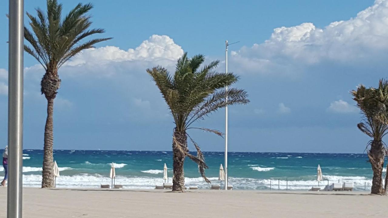 Chalet Bonalba Golf Alicante Zewnętrze zdjęcie